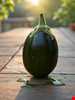Brinjal (Eggplant)