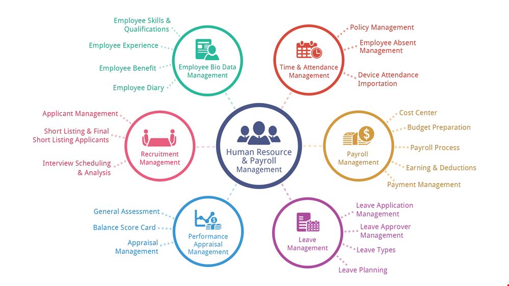 HR and Payroll Management Software tailored to specific needs