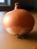 Onion